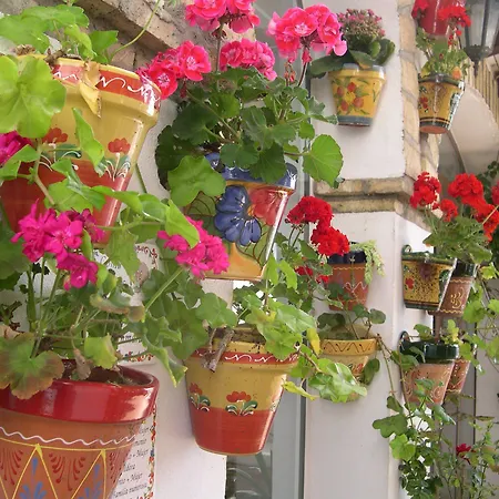 Hotel Cortijo Gallos 2*