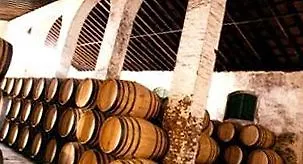 Cortijo Gallos
