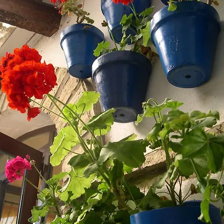 Cortijo Gallos