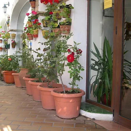 Cortijo Gallos Chiclana de la Frontera